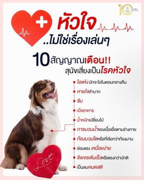 หัวใจไม่ใช่เรื่องเล่นๆ